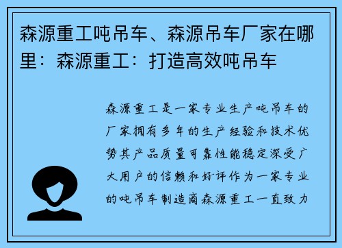 森源重工吨吊车、森源吊车厂家在哪里：森源重工：打造高效吨吊车