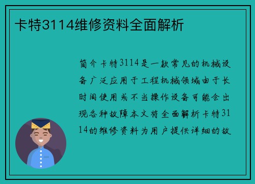 卡特3114维修资料全面解析
