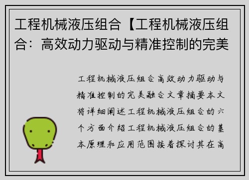 工程机械液压组合【工程机械液压组合：高效动力驱动与精准控制的完美融合】